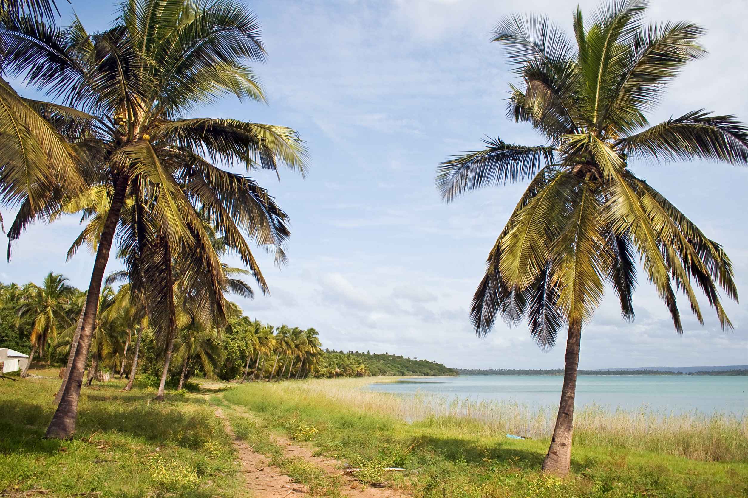 A striking shoreline in Mozambique, East Africa