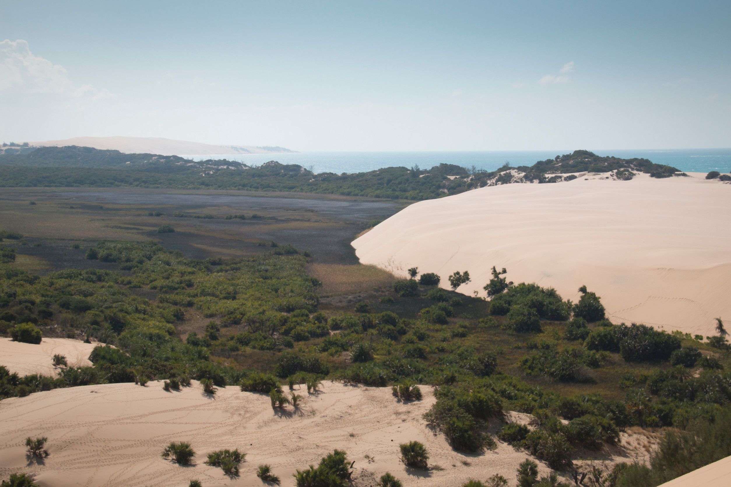 Beach dunes and forest, Bazaruto Islands, Mozambique