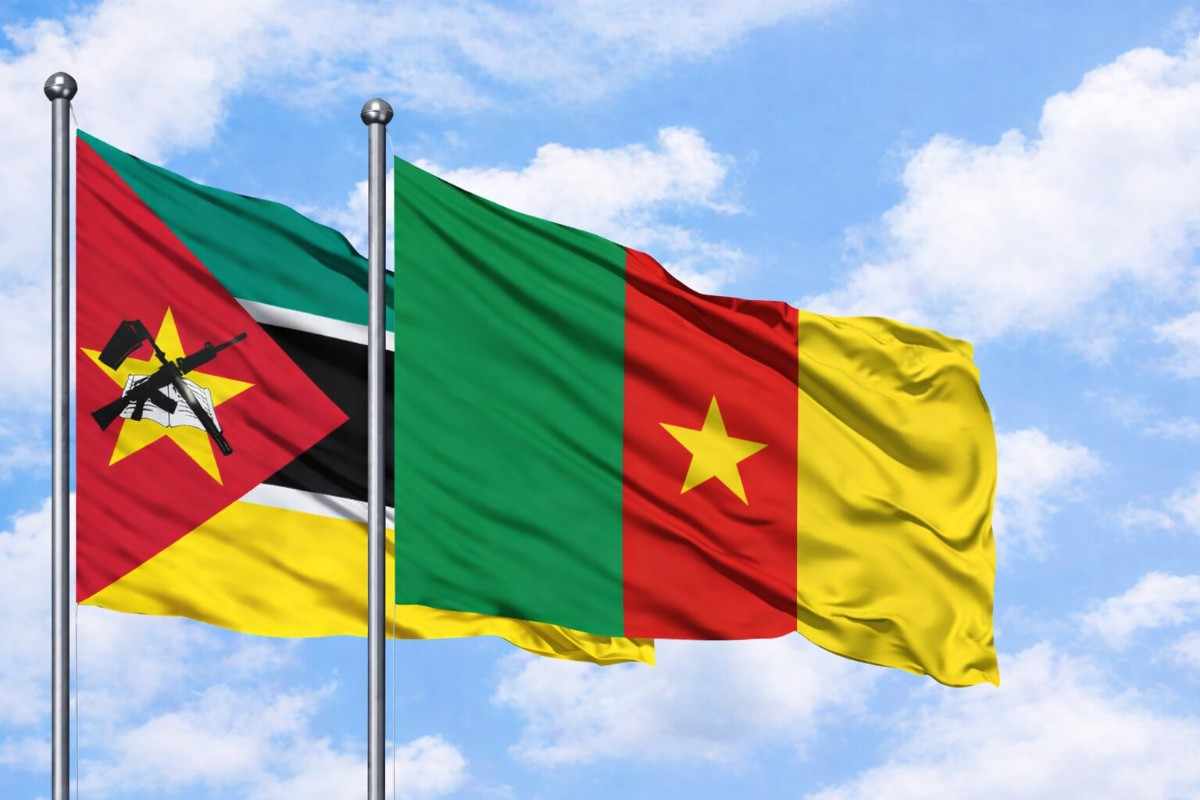 Flags Of Mozambique And Cameroon