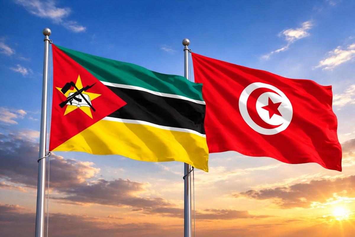 Flags Of Mozambique And Tunisia