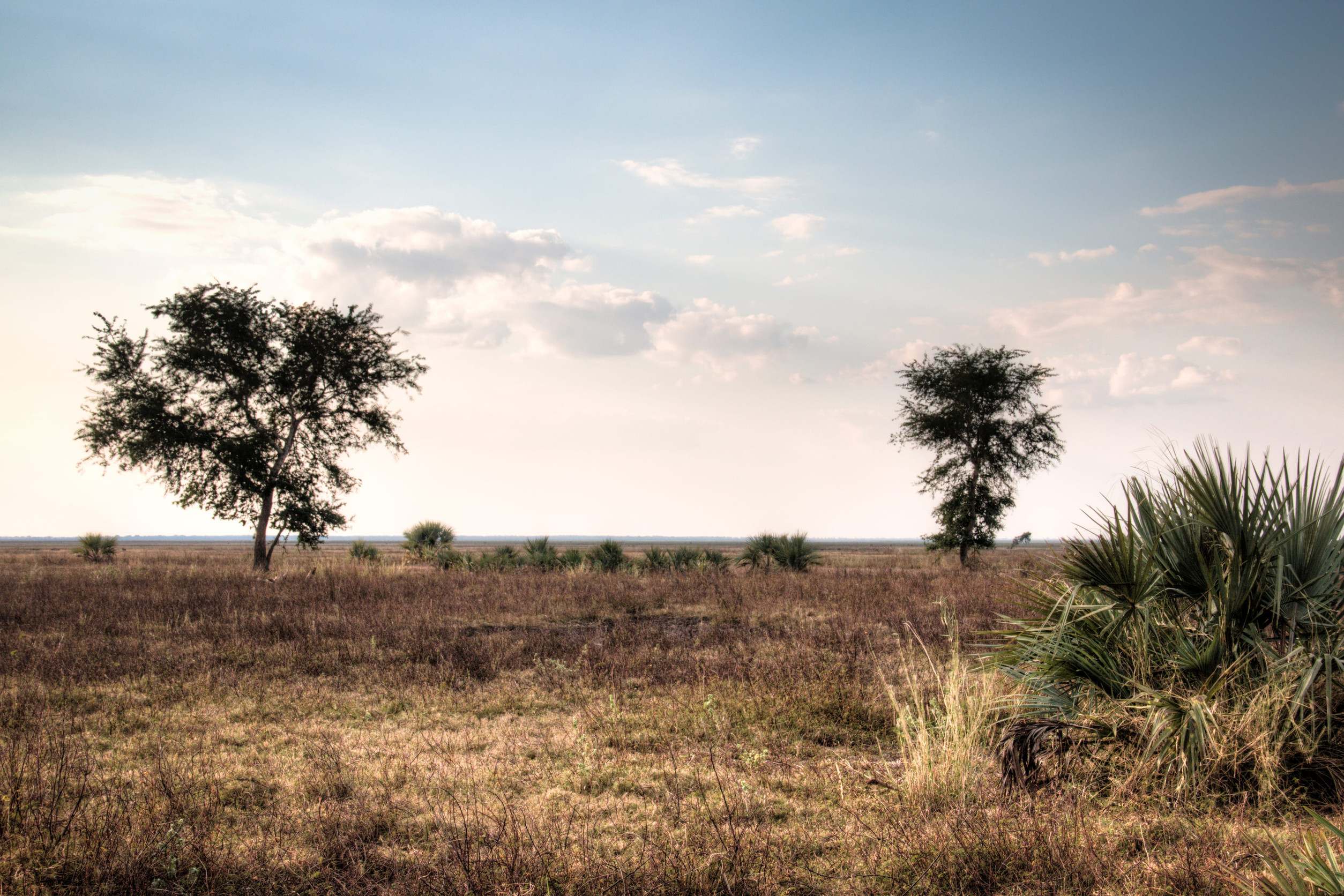 Gorongosa National Park In Mozambique