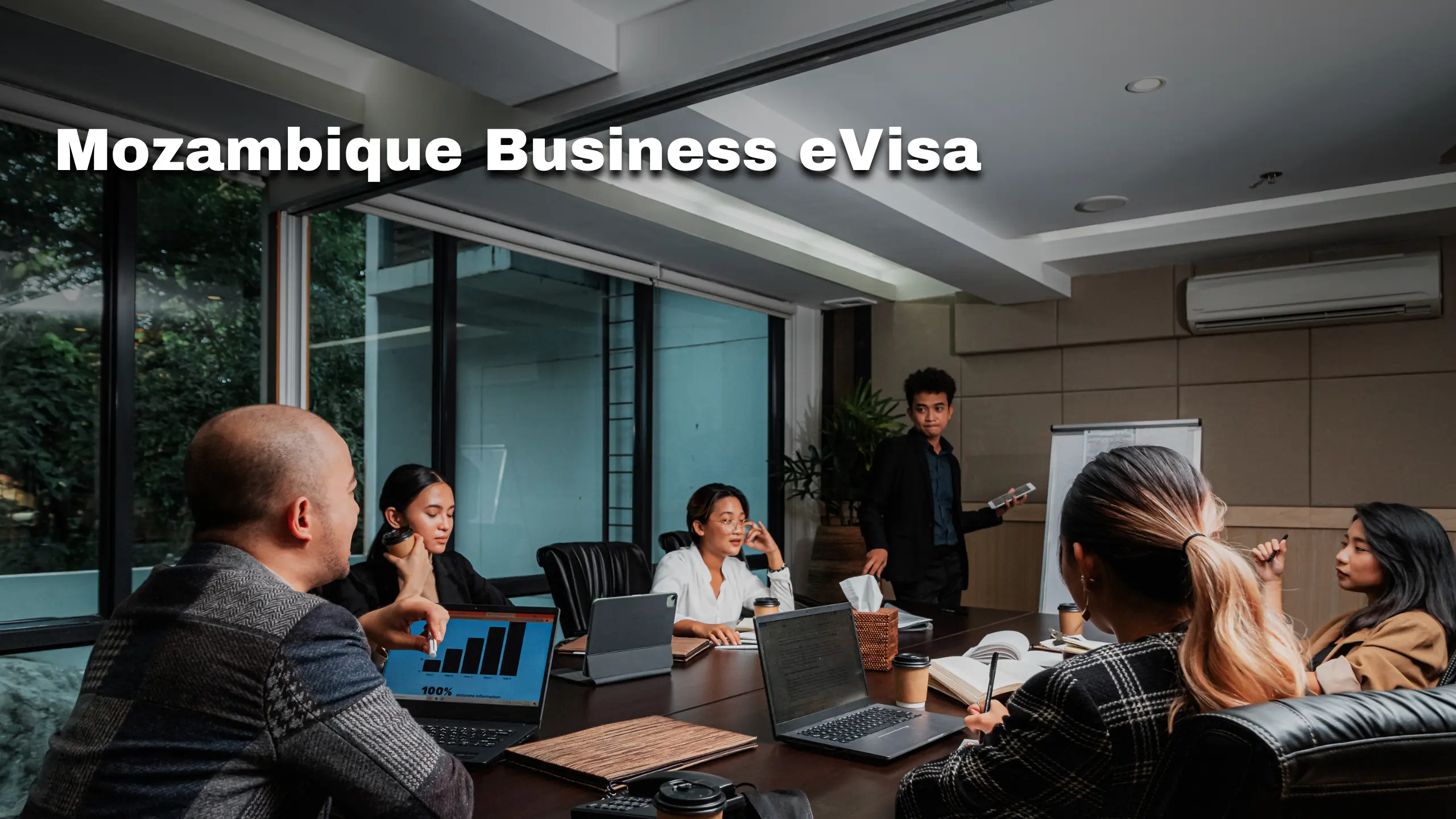Mozambique Business E-visa