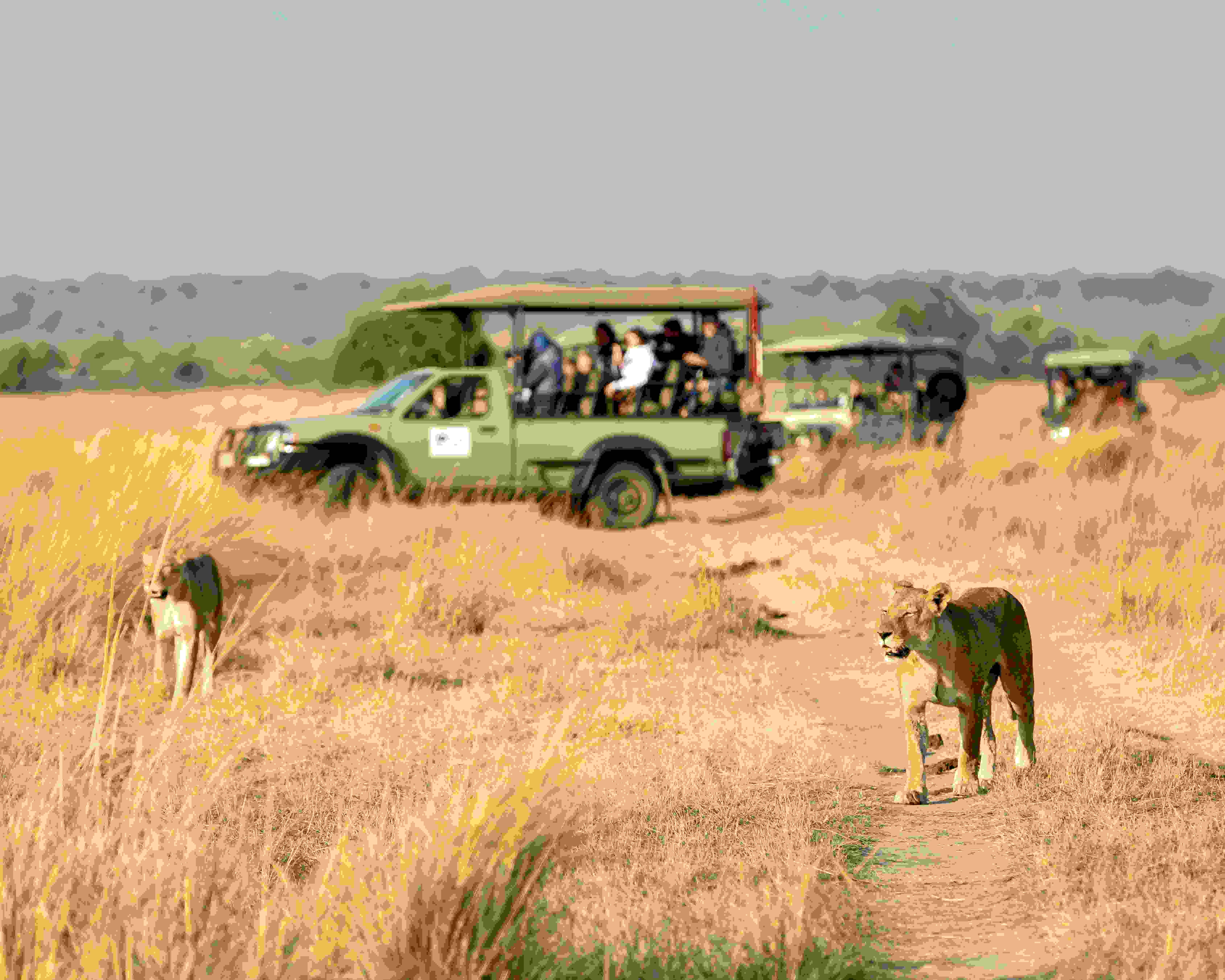 Sign pointing toward the international terminal