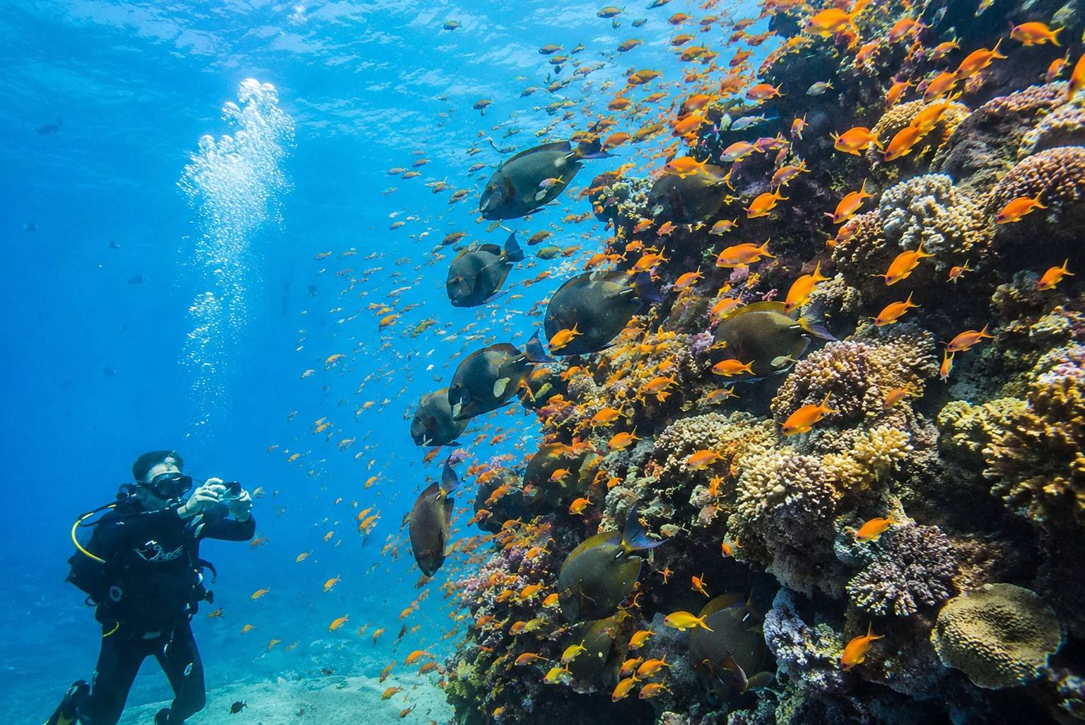 Tourist Exploring Bazaruto Archipelago Reef
